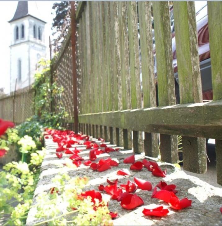 Ringmauer Ξενοδοχείο Murten Εξωτερικό φωτογραφία